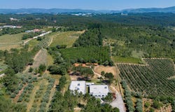 Calvaria De Cima, Leiria 2480