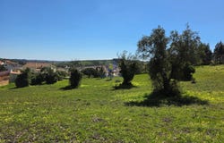 Lamas e Cercal, Lisbon