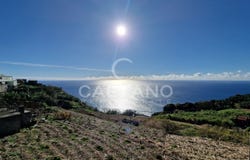Canhas, Madeira