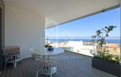 Ericeira, Lisbon 2655