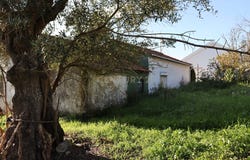 Rua Casal Toneca, Bucelas, Lisbon 2670-883