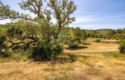 Aljezur, Algarve 8670