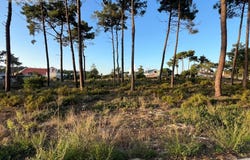 Charneca De Caparica, Setúbal 2820