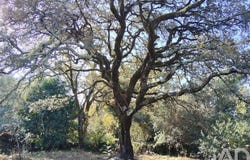 Pousaflores, Leiria 3240