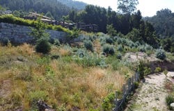 Terras de Bouro, Braga