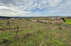 Vale da Bucha, Freiria, Lisbon 2565-302