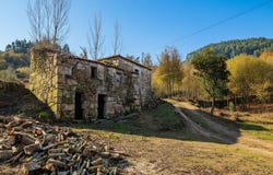 Cinfães, Viseu 4690