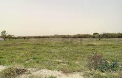 Quinta Do Anjo, Setúbal 2950