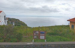 Canhas, Madeira 9360