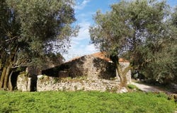 Cortiçal, Abrã, Santarém District 2025-011