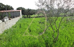 Fátima, Santarém 2495