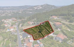 Cinfães, Viseu District