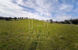 Vila Ruiva, Beja District