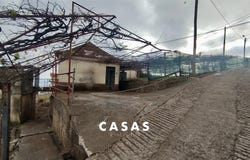 Canhas, Madeira 9360