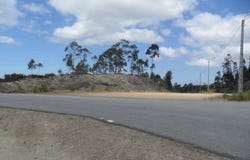 Valongo, Porto District