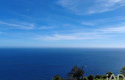 Ilha do Pico, Azores