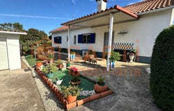 Martinchel, Santarém 2200