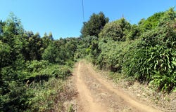 Caniço, Madeira 9125
