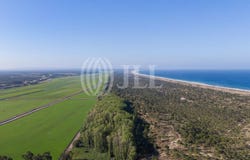 Comporta, Setúbal 7580