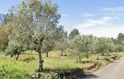 Portalegre, Portalegre District 6040
