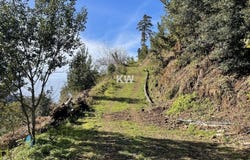 Monte, Madeira 9050