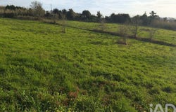 Cela, Leiria 2460