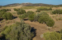 Monsaraz, Évora 7200