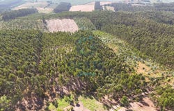 Bombarral, Leiria District