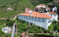 Vilarinho Dos Freires, Vila Real 5050