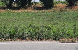 Olho Branco, Ouca, Aveiro District 3840-304