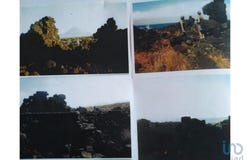 Bandeiras, Autonomous Region of the Azores 9950