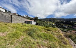 Canhas, Madeira 9360