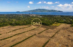 Madalena, Azores
