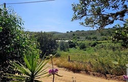 Budens, Algarve 8650