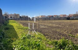 Matosinhos, Porto District
