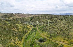 Rosmaninhal, Castelo Branco 6060