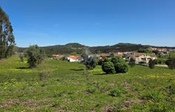Lamas e Cercal, Lisbon