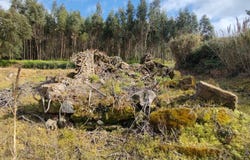 Carvalhal Benfeito, Leiria District 2500