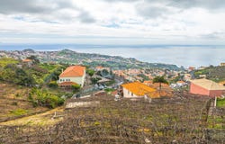 Câmara de Lobos, Madeira