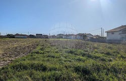 Murtosa, Aveiro District