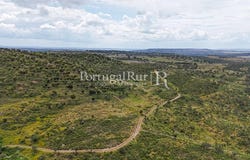 Rosmaninhal, Castelo Branco 6060