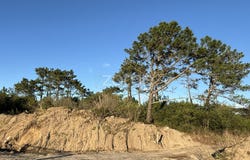Esposende, Braga