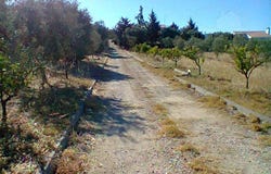 Redondo, Évora District