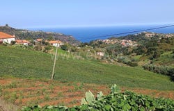 Santana, Madeira 9230