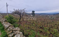 Alijó, Vila Real District