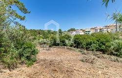 Ericeira, Lisbon 2655