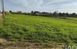 Cela, Leiria 2460