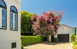 São Vicente, Lisbon