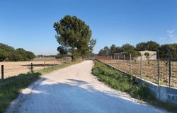 Palmela, Setúbal 2950