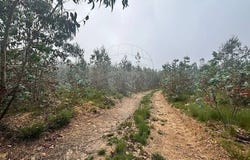 Aguada De Cima, Aveiro District